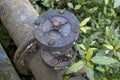 Industrial metal water pipe valve with rusted bolts Royalty Free Stock Photo