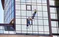 Industrial mountaineering worker cleaning window outside building. Royalty Free Stock Photo