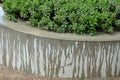 In the industrial park there are circular raised beds of concrete. there are benches and seats on the edge. sage grows inside