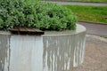 In the industrial park there are circular raised beds of concrete. there are benches and seats on the edge. sage grows inside