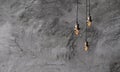 Industrial pendant lamps against a rough concrete wall.