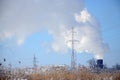 The industrial plant is located behind the swampy terrain, covered with snow. Large field of yellow bulrushes