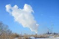 The industrial plant is located behind the swampy terrain, covered with snow. Large field of yellow bulrushes