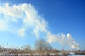 The industrial plant is located behind the swampy terrain, covered with snow. Large field of yellow bulrushes