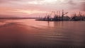 Industrial port in Rostock with cranes in dawn Royalty Free Stock Photo