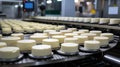 Industrial production of hard round cheeses. Closeup production line.