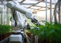 Industrial robot working in a greenhouse Royalty Free Stock Photo