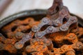 Industrial roller chain with corrosion, soft focus