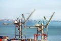 Industrial sea port with cranes. Royalty Free Stock Photo