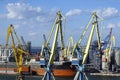 Industrial sea port with cranes. Royalty Free Stock Photo