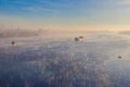 Industrial ship sailing down river in the mist at morning Royalty Free Stock Photo