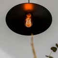 Industrial style pendant lamp, close-up Royalty Free Stock Photo