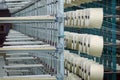 Industrial textile factory. Coils with threads in production.Fabric production . Royalty Free Stock Photo