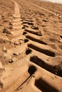 Industrial tractor footprint on beach sand