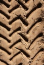 Industrial tractor footprint on beach sand