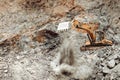 Industrial wheel loader bulldozer, excavator and track type excavator working on highway construction site, heavy duty machinery a Royalty Free Stock Photo