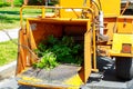 An industrial wood chipper at work