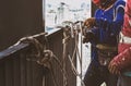 Industrial worker adjusting climbing gear preparing safety rope. Royalty Free Stock Photo