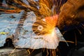 Industrial worker cutting aluzinc metal sheet Royalty Free Stock Photo