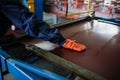 Industrial worker spray on metal sheet profiling machine Royalty Free Stock Photo