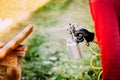 worker using spray gun for painting brown timber