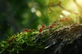 Industrious Ant forest insect. Generate Ai