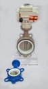 Butterfly valve plumbing Royalty Free Stock Photo