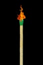 Wood Match with Flame - Green Tip on Black Background - Center Justified