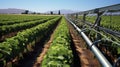 industry water food processing Royalty Free Stock Photo