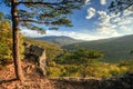 Pine tree on the brink of Plancheskiye Rocks at sunset. Scenic sunny blue sky golden autumn landscape of Caucasus Mountain forest Royalty Free Stock Photo