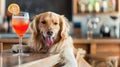 Inebriated dog enjoys cocktail, Ai Generated