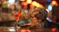 Inebriated dog enjoys cocktail, Ai Generated