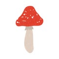 Inedible amanita mushroom picked in autumn season in forest Royalty Free Stock Photo