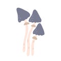 Inedible mushrooms with gray hat vector flat illustration on white background