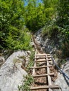 Wooden stairs on the trail to Inelet and Scarisoara hamlets, Romania