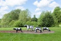 Infamous concrete cows in Milton Keynes