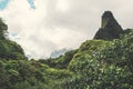 Maui - The Majestic Iao Needle Royalty Free Stock Photo