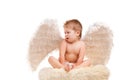 Infant baby with angel wings