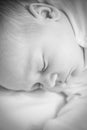 Infant baby cute boy is sleeping Royalty Free Stock Photo