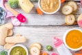 Colorful baby food puree Royalty Free Stock Photo