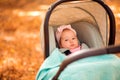 Infant baby girl in pink hat lying under blanket in stroller at autumn park. Fallen yellow leaves in background. Copy space Royalty Free Stock Photo