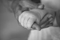 Infant baby hand holding hand of grown up person. Black and white photo. Royalty Free Stock Photo