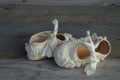 Infant baby shoes with ruffles Royalty Free Stock Photo
