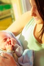 Little newborn baby sleeping calmly in blanket Royalty Free Stock Photo