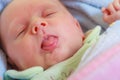 Little newborn baby sleeping calmly in blanket Royalty Free Stock Photo