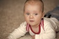 Infant crawl on floor carpet Royalty Free Stock Photo