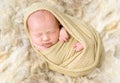 Infant enveloped tightly, resting, closeup