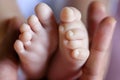 Infant feet