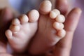 Infant feet