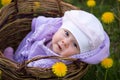 Infant girl in basket Royalty Free Stock Photo